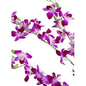  Background Cards Pink Orchids