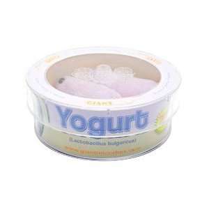  Microbes Yogurt (Lactobacillus bulgaricus) Petri Dish Toys & Games
