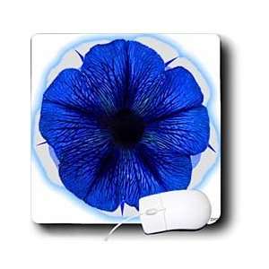   Hogge Jr Flowers   Blue and White Petunia   Mouse Pads Electronics
