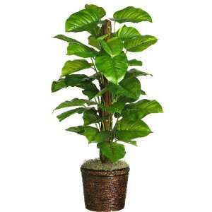  51 Philodendron Silk Plant (Real Touch)