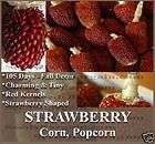 Corn seeds   RED STRAWBERRY POPCORN   MAIZE   PRETTY~~~