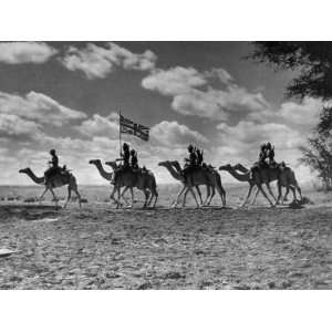  The Camel Corps of the Kings African Rifles, October 1945 