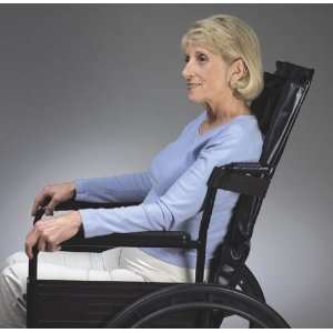  REPLACEMENT RECLINING WHEELCHAIR BACKREST 20W X 24H 