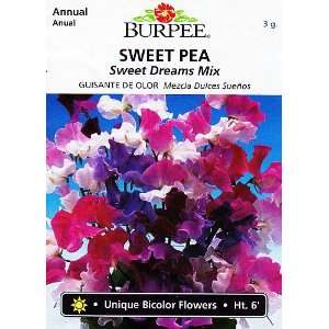  Burpee Sweet Dreams Mix Sweet Pea   40 Seeds Patio, Lawn 