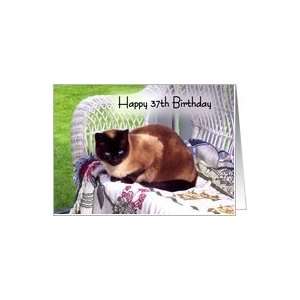   37th Birthday, Siamese cat on white wicker chair Card Toys & Games