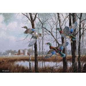 Ducks Unlimited Winters Beauty   Wood Duck Christmas Card